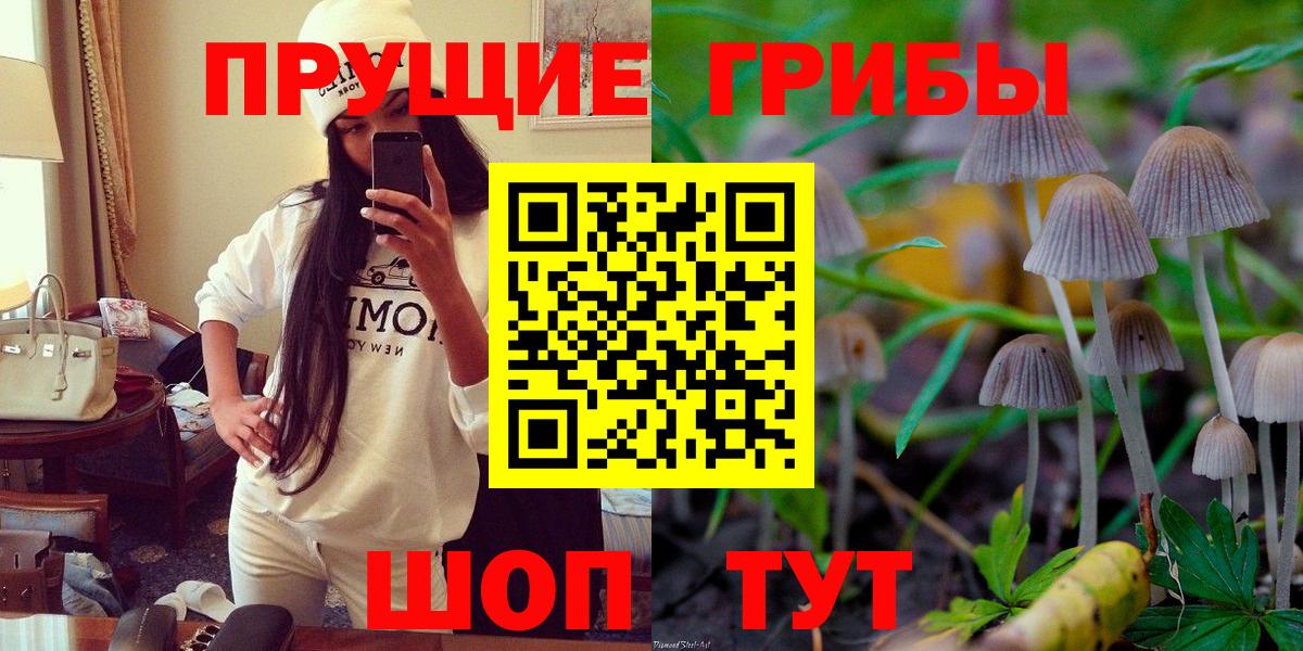 Псилоцибиновые грибы MAGIC MUSHROOMS  Галлюциногенные грибы прущие грибы  Вход с VPN  Ишимбай 